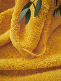 Полотенце махровое Yellow, без рисунка, желтый