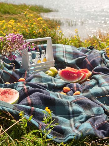 Плед Dumfries, клетка, зеленый